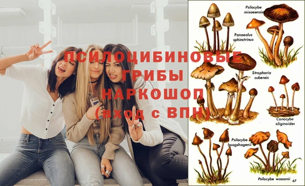тгк Балахна