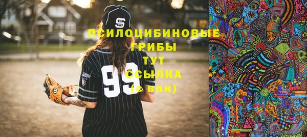 тгк Балахна