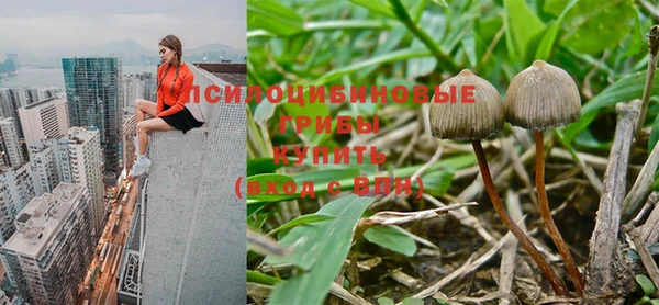 не бодяженный Баксан